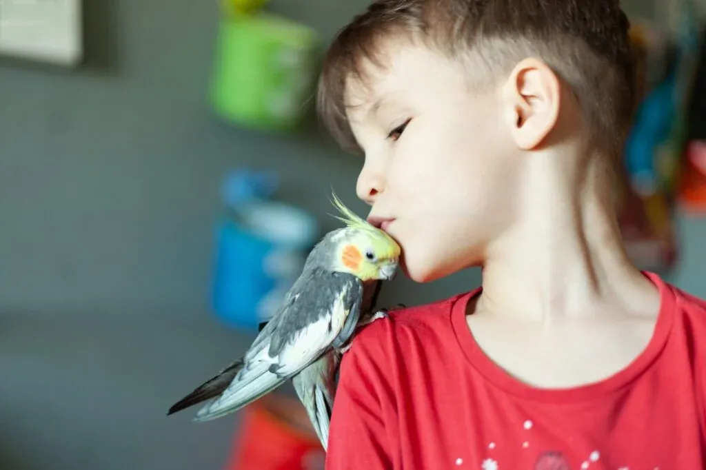 pet-bird-adoption-and-selection-guide 1.webp