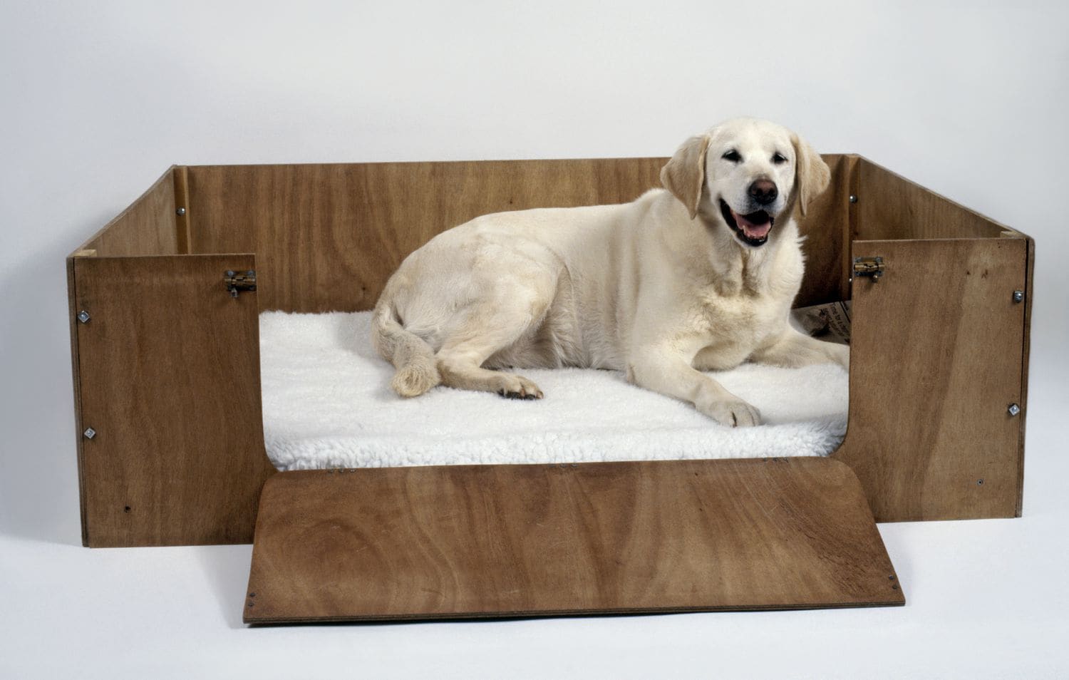 dog-pregnancy-care-and-birth 5.jpg